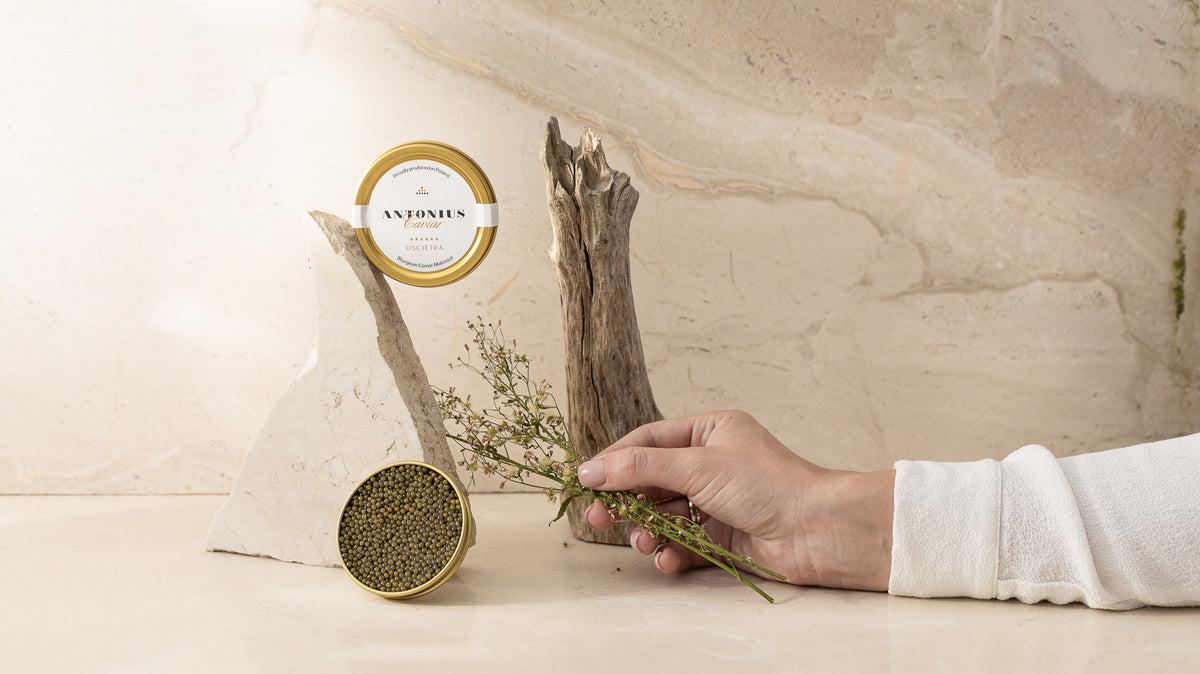L’univers de production d’Antonius Caviar