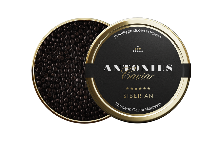 Caviar Sibérien Antonius et sa présentation